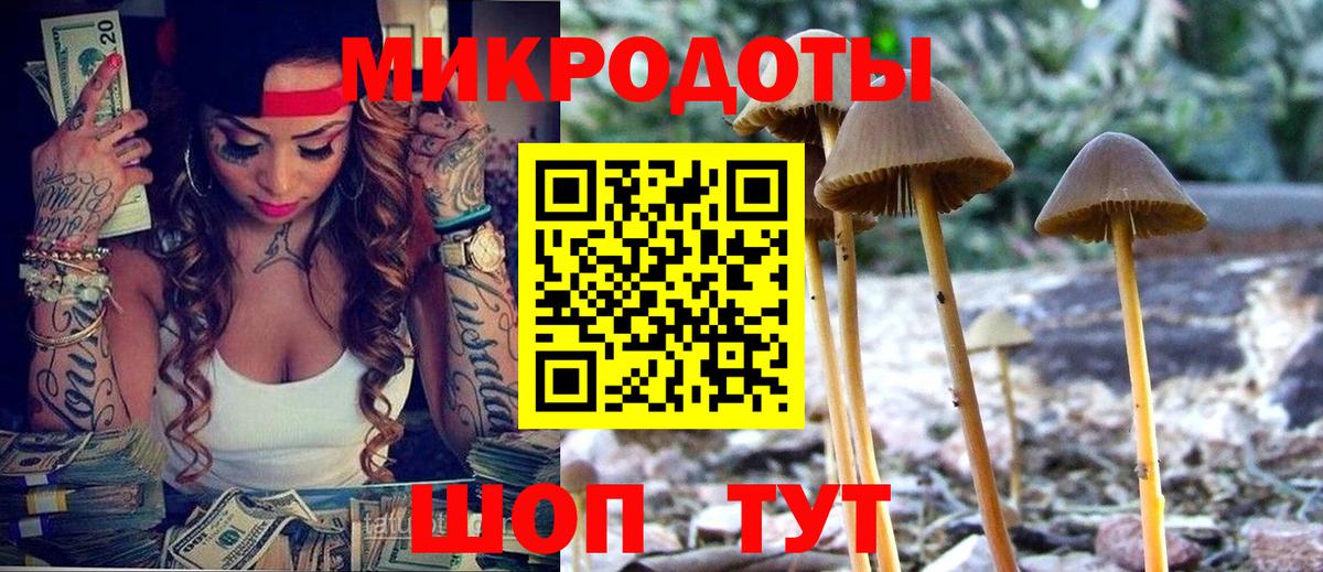 Галлюциногенные грибы ЛСД Кашира